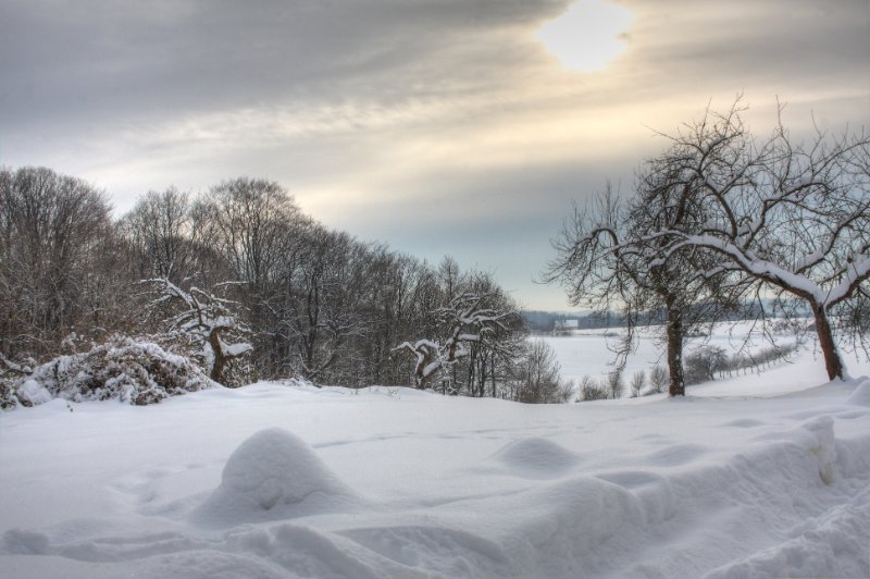 Winter 28.12.2010_13.JPG